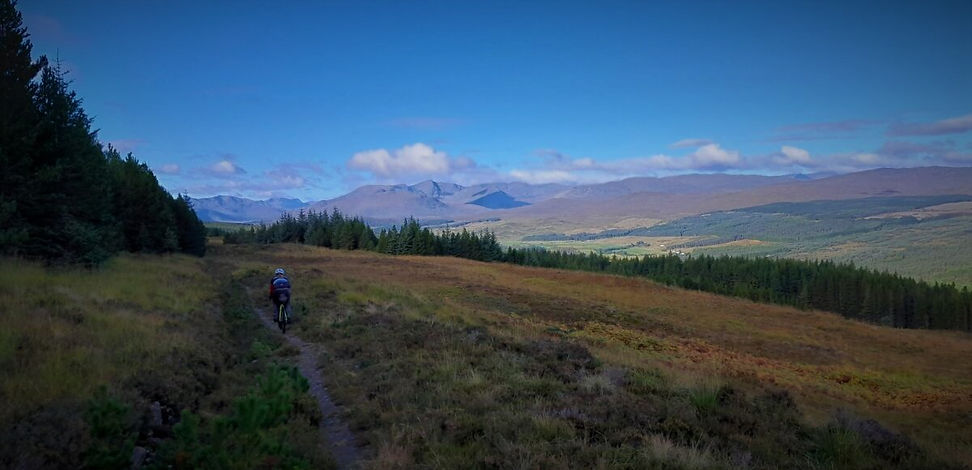 single track atm.jpg